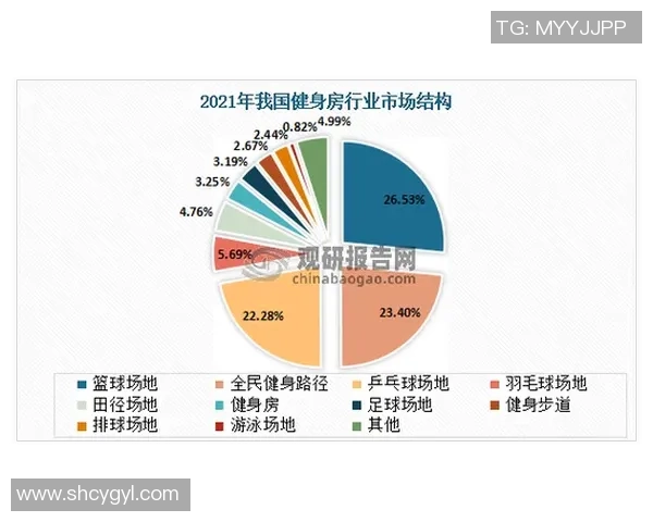 杭州羽毛球队心理素质深度对比分析及其对比赛表现的影响探讨