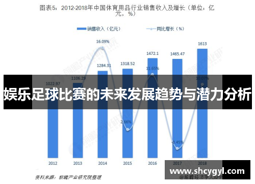 娱乐足球比赛的未来发展趋势与潜力分析